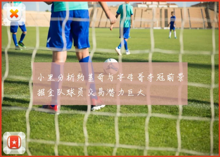 小里分析约基奇与字母哥夺冠前景掘金队球员交易潜力巨大