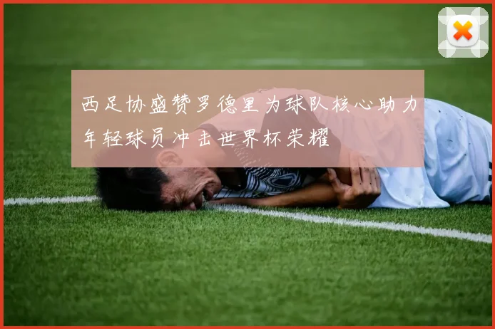 西足协盛赞罗德里为球队核心助力年轻球员冲击世界杯荣耀