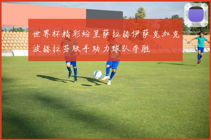世界杯精彩纷呈萨拉赫伊萨克加克波赫拉芬联手助力球队夺胜