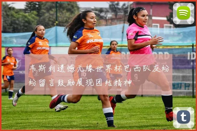 韦斯利遗憾无缘世界杯巴西队友纷纷留言鼓励展现团结精神